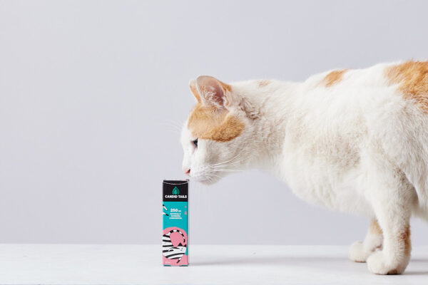 aceites-mascota